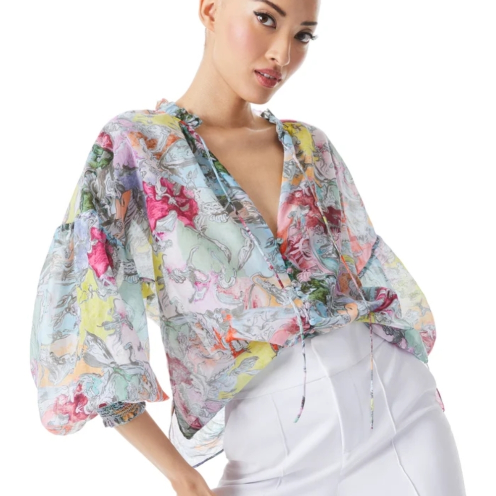 Alice + Olivia x Lola Schnabel “Julius” Tunic Cotton Silk Boho Art Blouse M/L